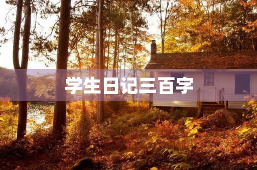 学生日记三百字