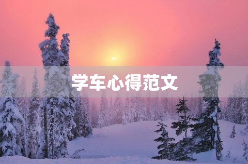 学车心得范文