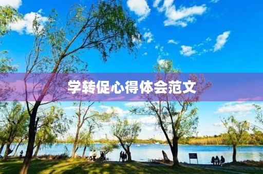 学转促心得体会范文