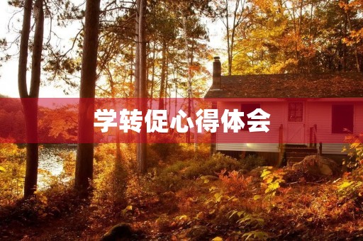 学转促心得体会