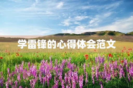 学雷锋的心得体会范文
