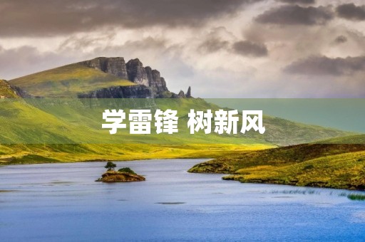 学雷锋 树新风
