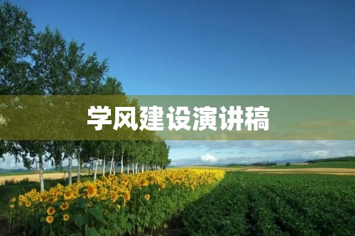 学风建设演讲稿