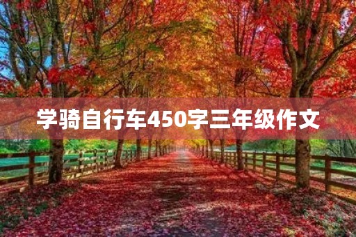 学骑自行车450字三年级作文 学骑自行车450字三年级作文