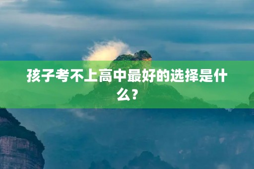 孩子考不上高中最好的选择是什么? 孩子考不上高中最好的选择是什么?