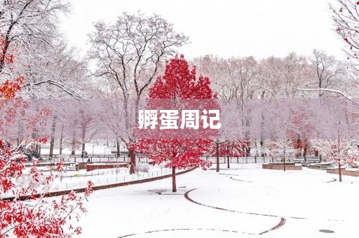 孵蛋周记 孵蛋周记