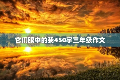 它们眼中的我450字三年级作文 它们眼中的我450字三年级作文
