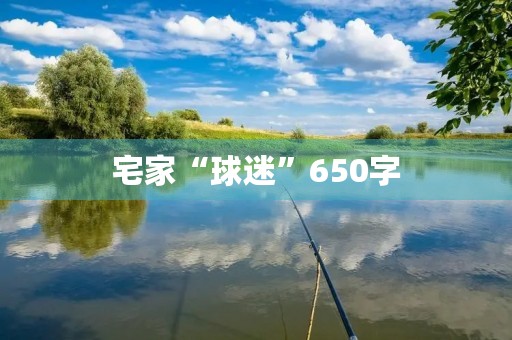 宅家“球迷”650字