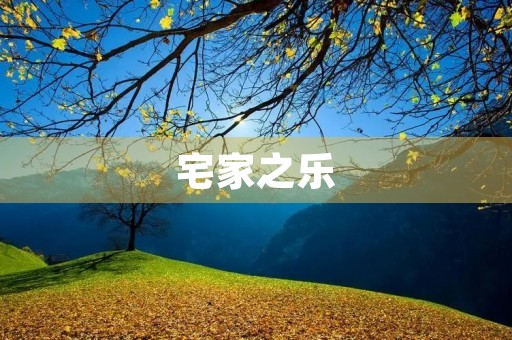 宅家之乐