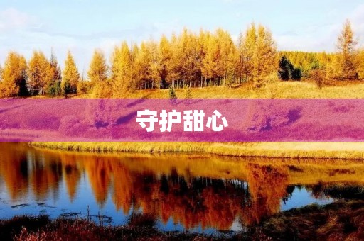 守护甜心 守护甜心