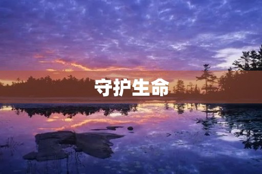 守护生命，安全在我心中