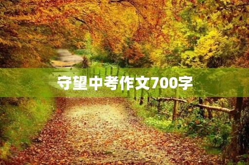 守望中考作文700字 守望中考作文700字