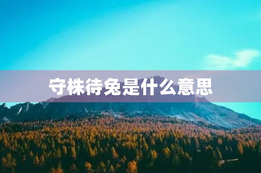 守株待兔是什么意思