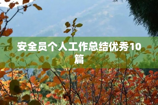 安全员个人工作总结优秀10篇