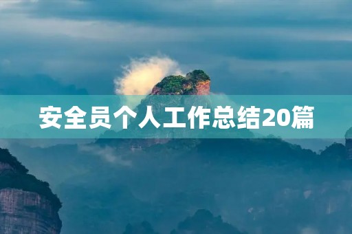 安全员个人工作总结20篇