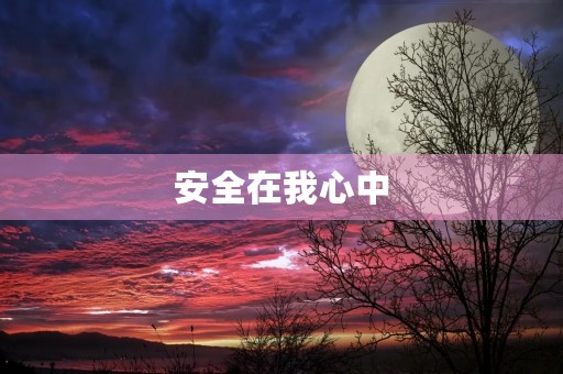 安全在我心中 安全在我心中