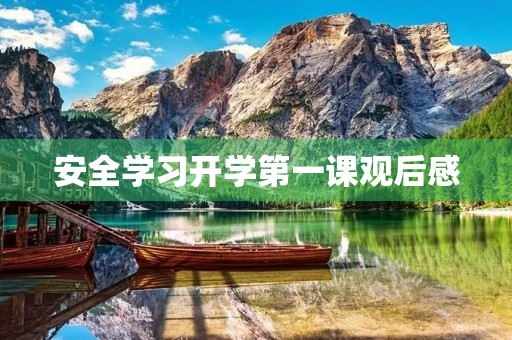 安全学习开学第一课观后感