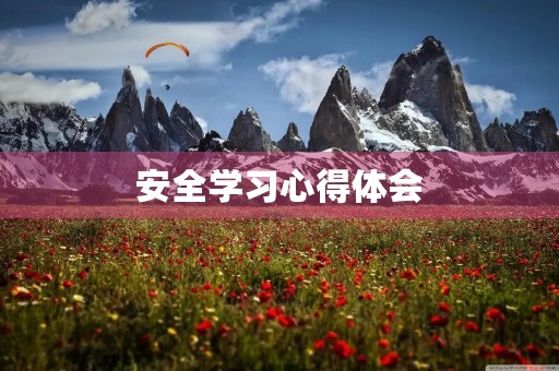 安全学习心得体会
