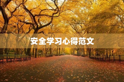 安全学习心得范文