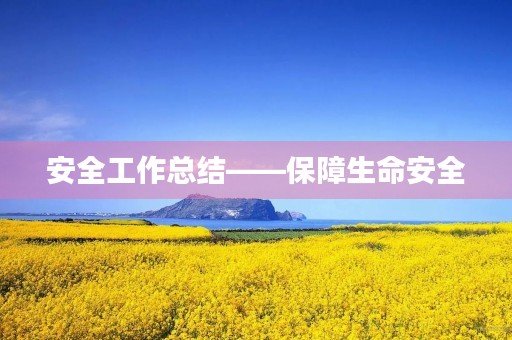 安全工作总结——保障生命安全，促进企业发展