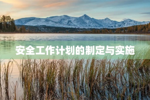 安全工作计划的制定与实施