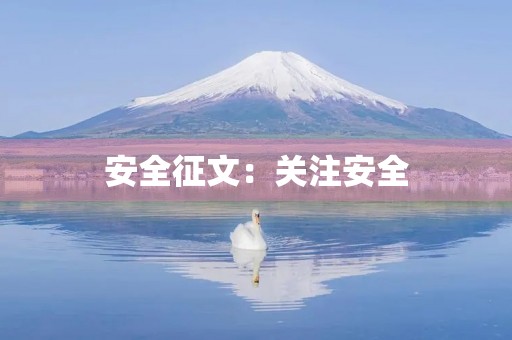 安全征文：关注安全，让生命更美好