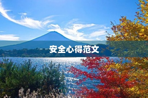 安全心得范文