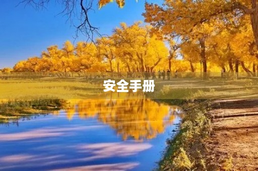 安全手册 安全手册