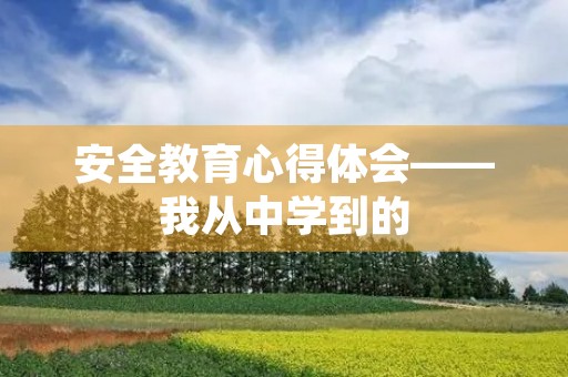 安全教育心得体会——我从中学到的