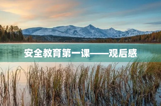 安全教育第一课——观后感 安全教育第一课——观后感