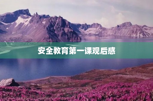 安全教育第一课观后感