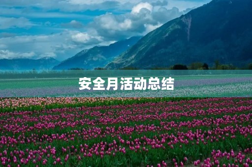 安全月活动总结