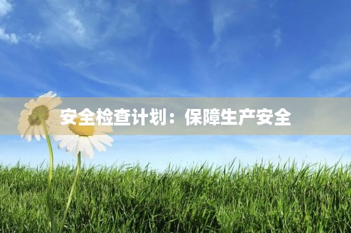 安全检查计划：保障生产安全，确保员工健康