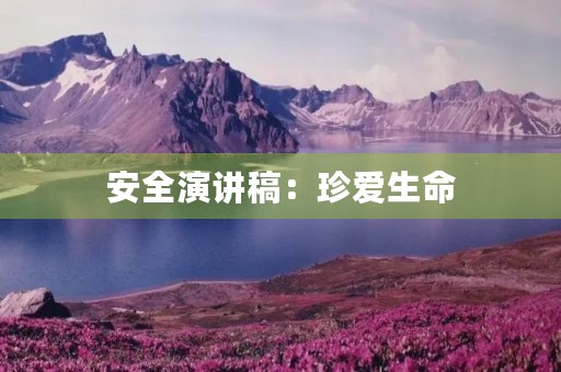 安全演讲稿：珍爱生命，远离危险