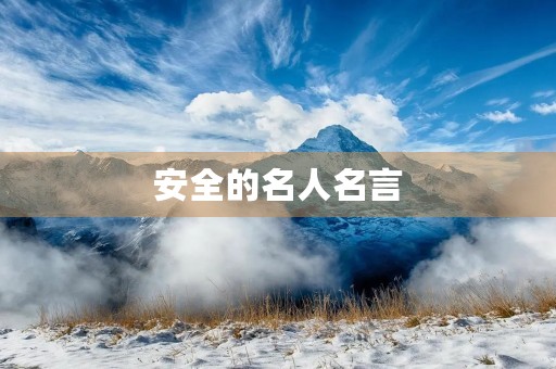 安全的名人名言(有关安全的名人名言)