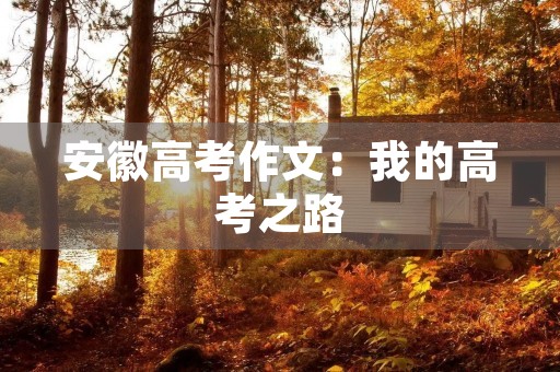 安徽高考作文：我的高考之路