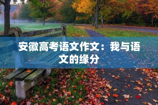 安徽高考语文作文：我与语文的缘分