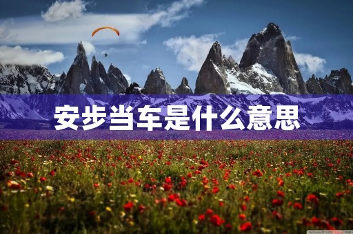 安步当车是什么意思