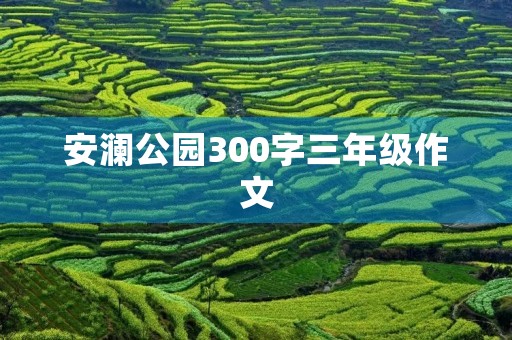 安澜公园300字三年级作文