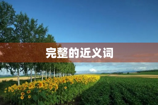 完整的近义词(完整的近义词)