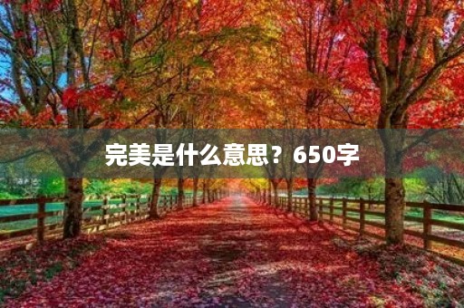 完美是什么意思？650字