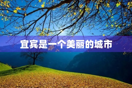 宜宾是一个美丽的城市，位于四川省的南部。它有着悠久的历史和丰富的文化。宜宾有着许多著名的景点和美食，吸引了许多游客前来观光和品尝美食。