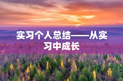 实习个人总结——从实习中成长
