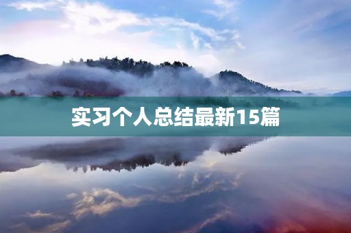 实习个人总结最新15篇