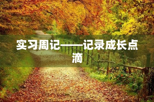 实习周记——记录成长点滴 实习周记——记录成长点滴