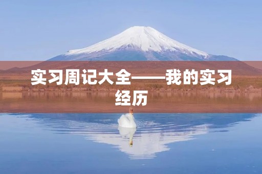实习周记大全——我的实习经历