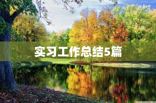 实习工作总结5篇