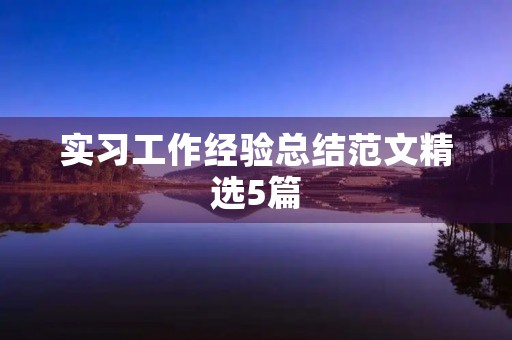 实习工作经验总结范文精选5篇