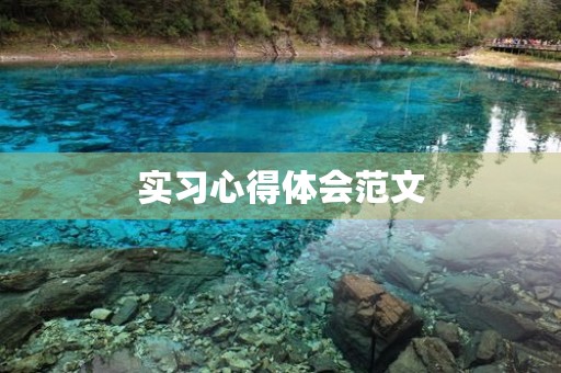 实习心得体会范文 实习心得体会范文