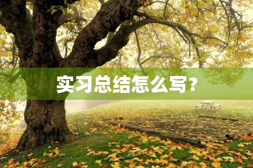 实习总结怎么写？